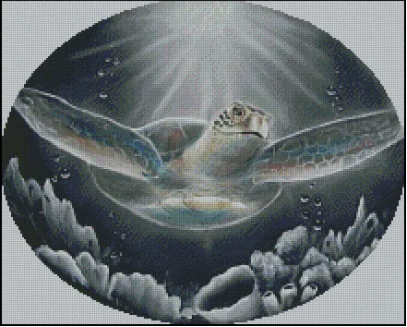 (image for) True Light